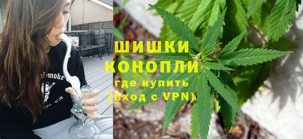 сатива Богородск