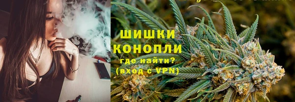 сатива Богородск