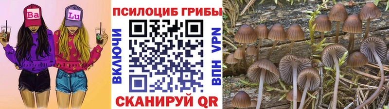 Галлюциногенные грибы Magic Shrooms  Нерюнгри 