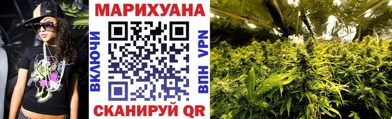 Конопля гибрид  Нерюнгри 
